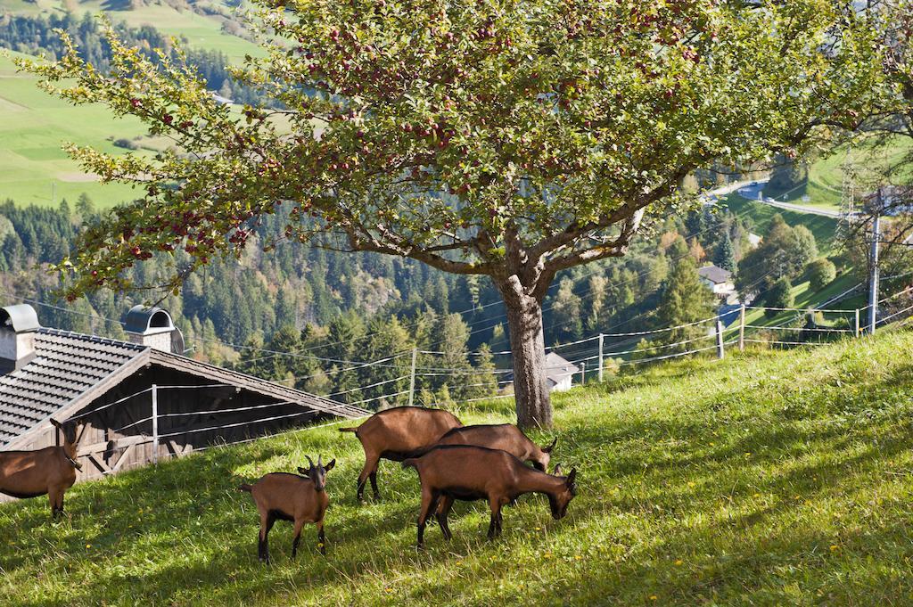 فندق غاستهوف هاندل Schönberg im Stubaital المظهر الخارجي الصورة